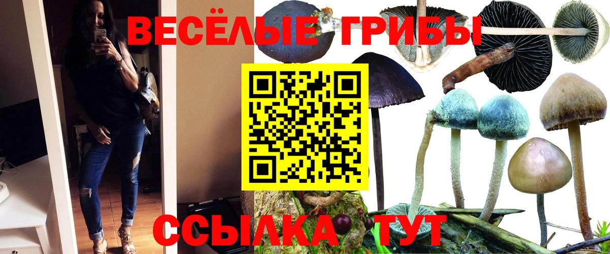 Галлюциногенные грибы MAGIC MUSHROOMS Наро-Фоминск